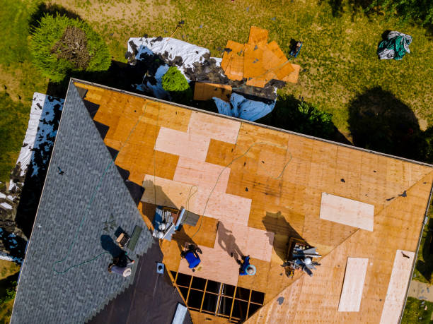 Best Commercial Roofing Services  in Breckinridge Center, KY