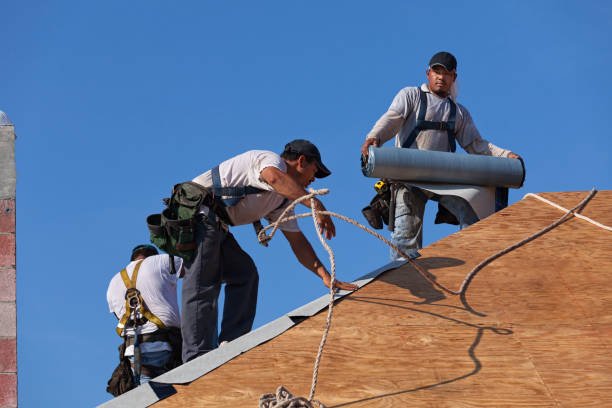 Best Roof Waterproofing Services  in Breckinridge Center, KY