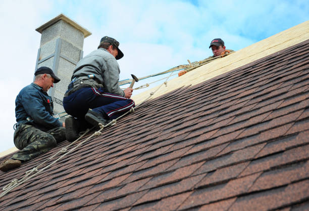 Best Commercial Roof Installation  in Breckinridge Center, KY