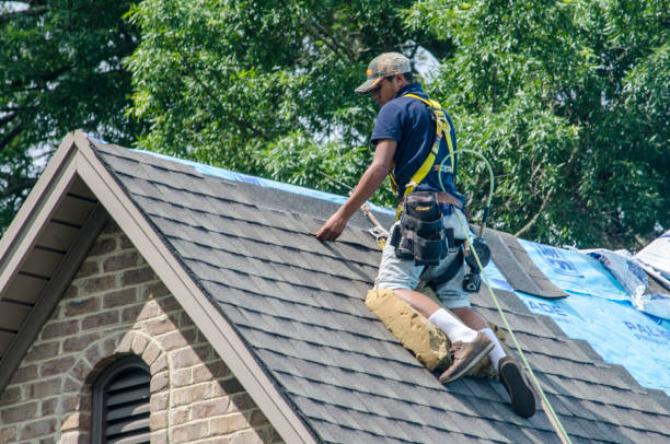 Best Roof Maintenance Services  in Breckinridge Center, KY